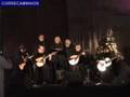 Grupo Madeirense de Fados de Coimbra, 2008
