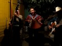 polka sube y baja polka sube y baja