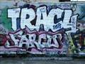 Tracy 168