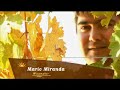 Sunrise Winemakers