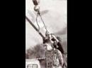 WIZO - Kopfschuss WIZO - Kopfschuss