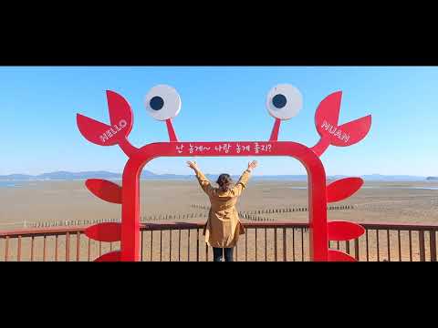 [장려] 황토갯벌의 고장! 무안으로 떠나는 특별한 여행