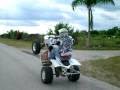 yfz450 wheelie