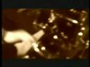 petrified host - live at the occii (part 4) petrified host - live at the occii (part 4)