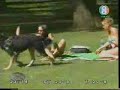 Dirty Old Dog Dirty Old Dog