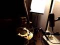 clip video Eddie Boyd Baby What's Wrong With You
