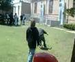 kung fu fighting 