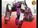 robo-erectus, humanoid, toy, educational robot, entertainment robot, dancing robot