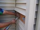 cellulose walls cellulose walls