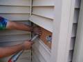 cellulose walls
