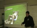 ultima exposicion