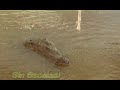 El tour del hombre cocodrilo en el Río Tarcoles. Realmente impresionante. Veremos cocodrilos de más de tres metros de largo. Monica, Osama, Fidel, Bush y muchos más.