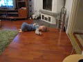 MVI_1129.MOV