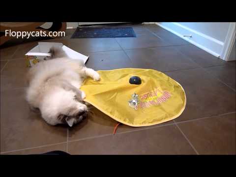 Undercover Mouse Electronic Cat Toy Review 0 Undercover Mouse Electronic Cat Toy Review