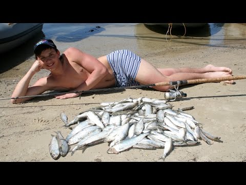 ловля шамайки весной ловля шамайки весной