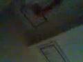 videos de bradshaw wasted lol