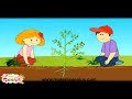 Parts of a Plant पौधे   -Lesson