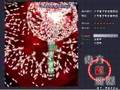 東方紅魔郷 (Touhou06 EoSD) Stage 6 Lunatic replay