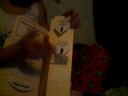 Penguin Lapbook
