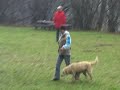 Pasja ?ola Trebnje (Kaja BBH) Pasja ?ola Trebnje (Kaja BBH)