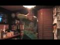 MOV080
