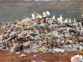 sistema planeta terra UTFPR Medianeira