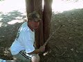 Bigfoot Encounter (Eno River State Park, NC)