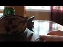 The Tech Deck Experience The Tech Deck Experience