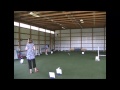 Click here to watch this video APDT Rally Level 2