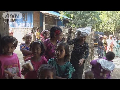 動画