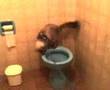 Gato cagando na privada