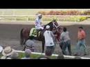 Big Brown wins the 2008 Florida Derby Big Brown wins the 2008 Florida Derby