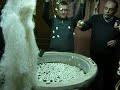 Click here to watch this video HOW SILK IS UNWOUND AND SPUN