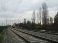 Trenes pasando por Gultro