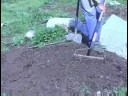 Organic Lettuce Gardening : Organic Lettuce Seed Raking Organic Lettuce Gardening : Organic Lettuce Seed Raking
