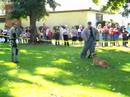 Turlock Police Open House & Safety Fair