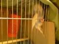 videos de 090104_1845~0001.m4v