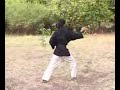 Matayoshi Kobudo Sai Kata Nicho Sai Matayoshi Kobudo Sai Kata Nicho Sai