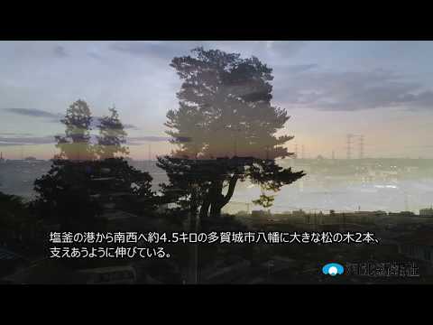 動画