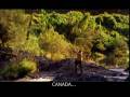 videos de The Tweed Naturally - Canada