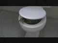 Ghoulies II - Toilet Scene