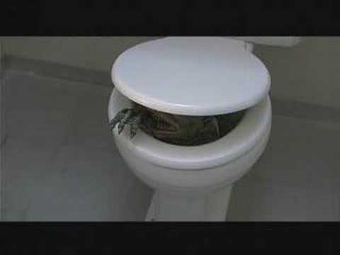 Movie - Ghoulies II