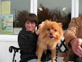 Chien Charlie Chien Charlie