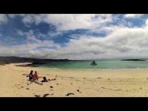 how to adjust after study abroad