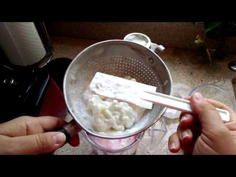 how to harvest kefir grains