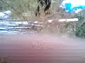 Video034