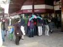 Agroecologia ufro / ActivArte