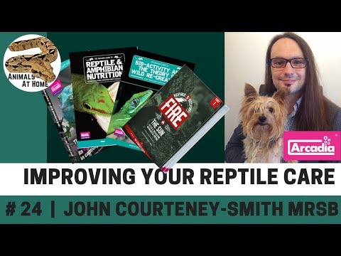 YouTube reptile video