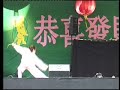 chinese kungfu