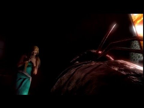 Vidéo 1